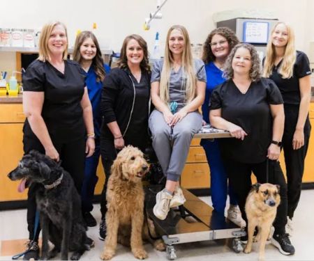 Enid Pet Hospital