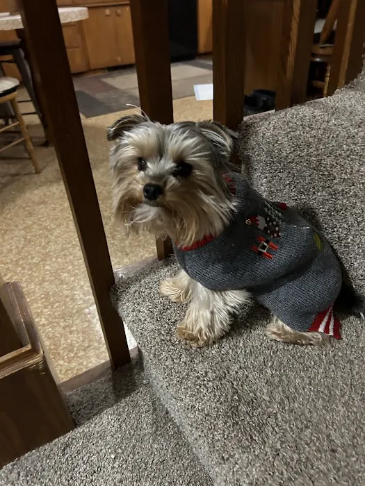 Enid Pet Hospital Picture 4