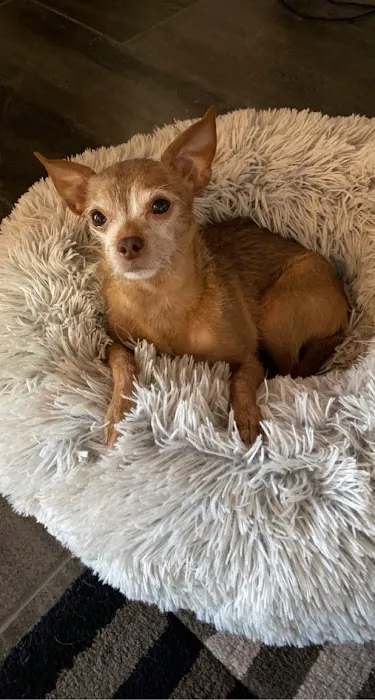 Enid Pet Hospital Picture 3