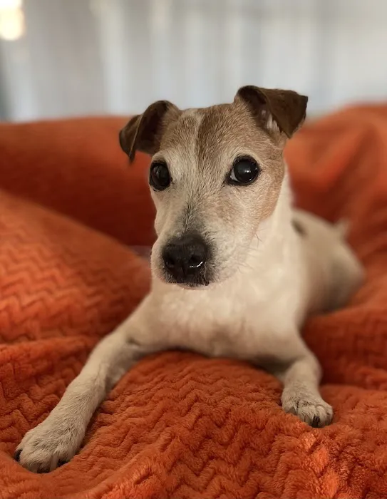 Enid Pet Hospital Picture 7