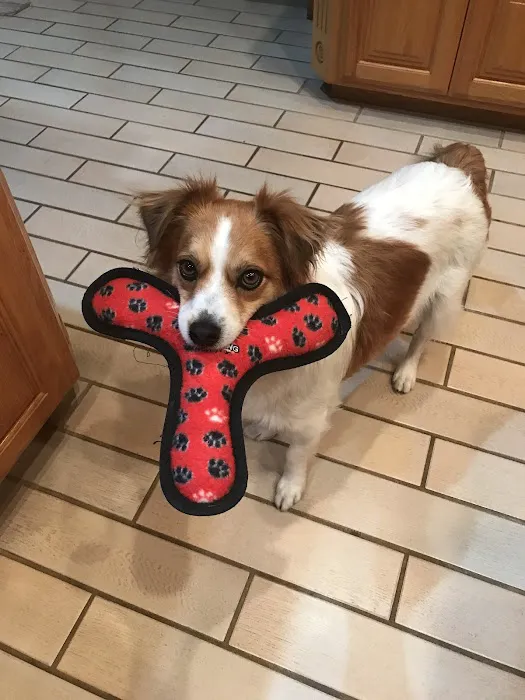 Enid Pet Hospital Picture 8