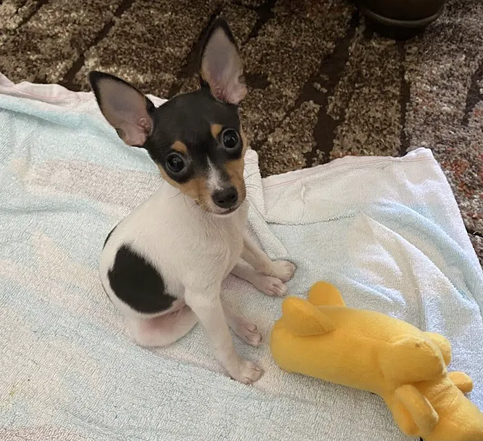 Enid Pet Hospital Picture 6