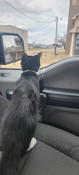 Enid Pet Hospital Picture 5