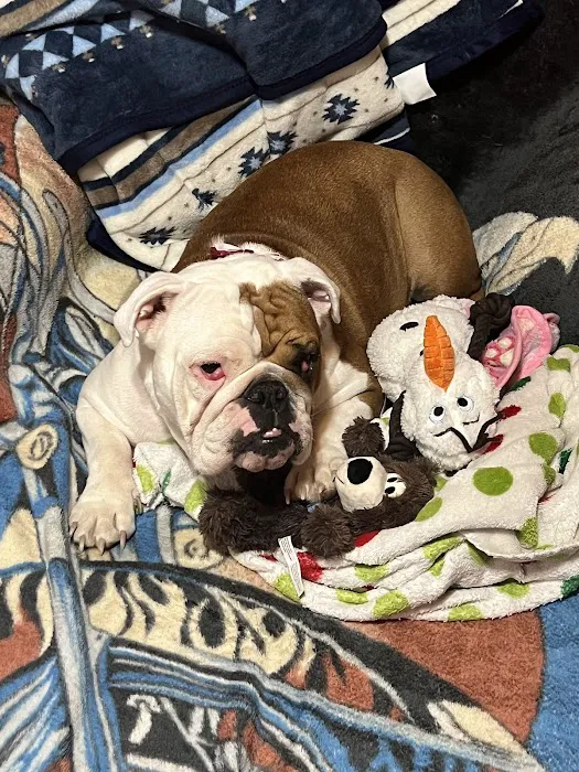 Enid Pet Hospital Picture 9