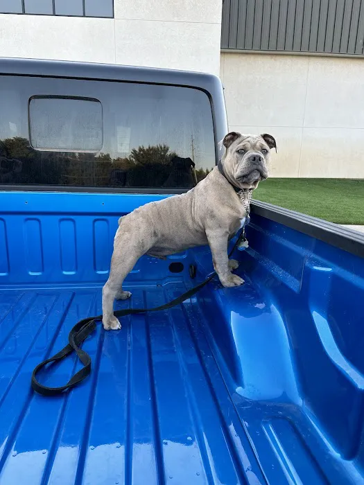 Enid Pet Hospital Picture 10