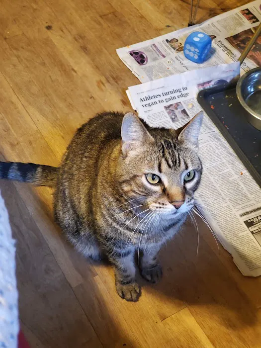 Olson Animal Hospital Inc. Picture 2