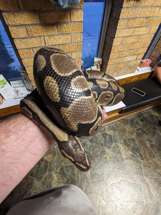 Olson Animal Hospital Inc. Picture 4