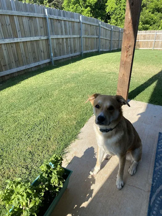 Olson Animal Hospital Inc. Picture 7