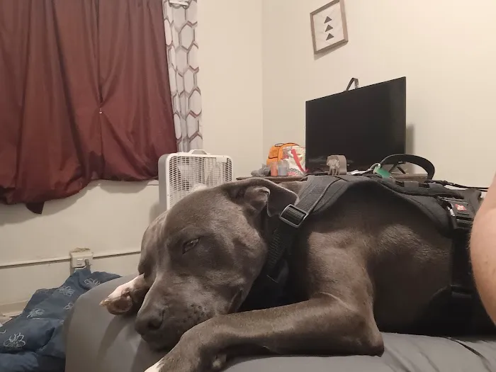 Olson Animal Hospital Inc. Picture 8