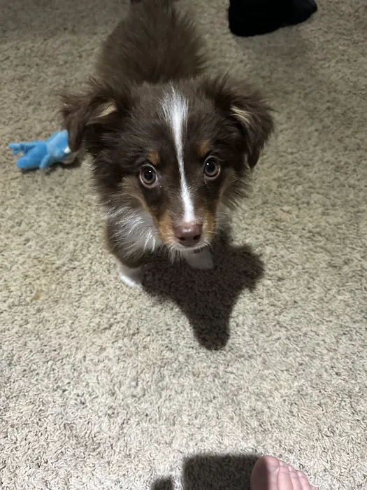 Staerkel Veterinary Clinic Picture 1