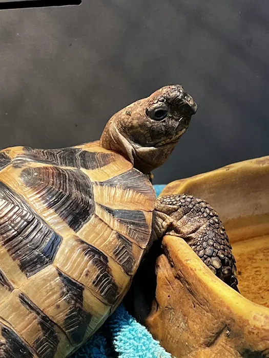 Staerkel Veterinary Clinic Picture 5