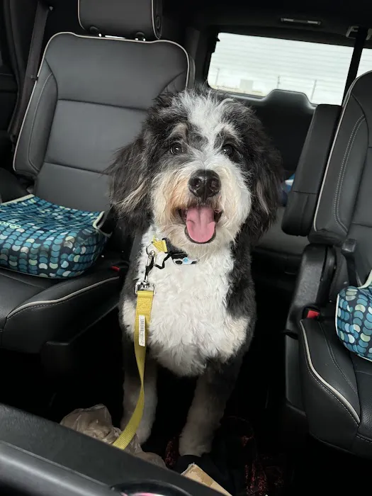 Staerkel Veterinary Clinic Picture 3