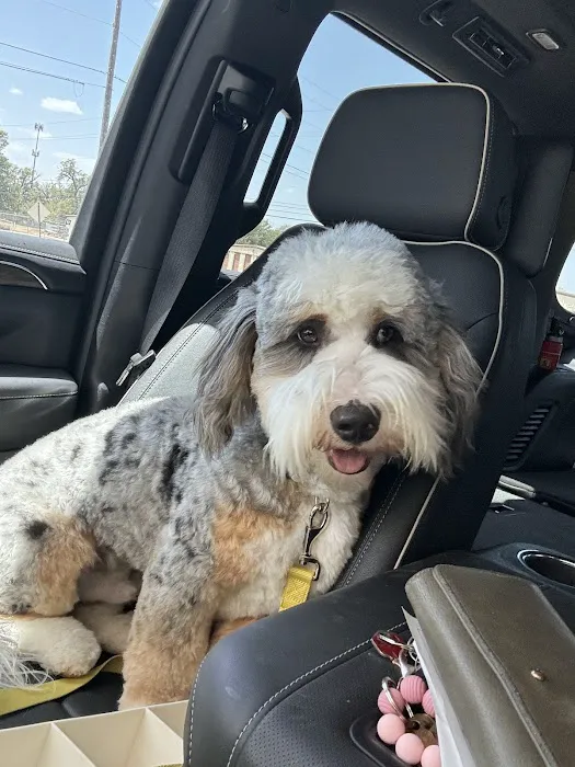 Staerkel Veterinary Clinic Picture 2