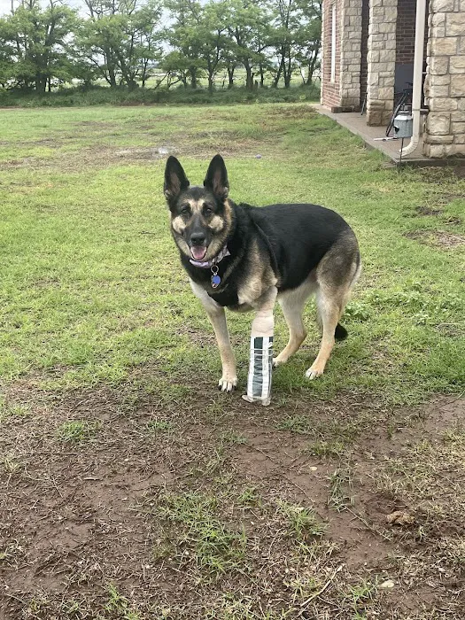 Staerkel Veterinary Clinic Picture 8