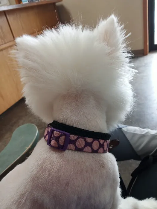 Staerkel Veterinary Clinic Picture 9