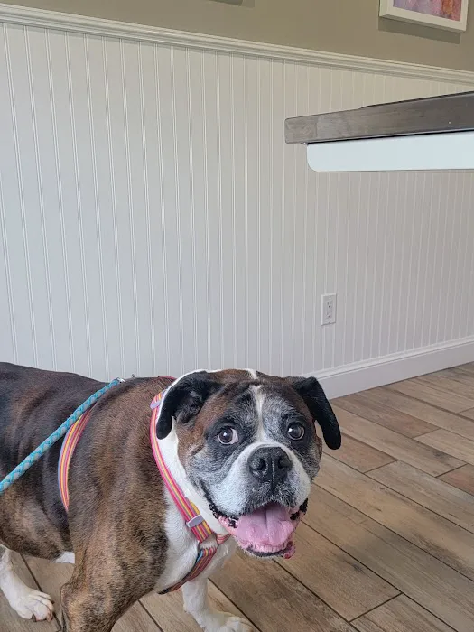 Halo Animal Hospital Picture 3