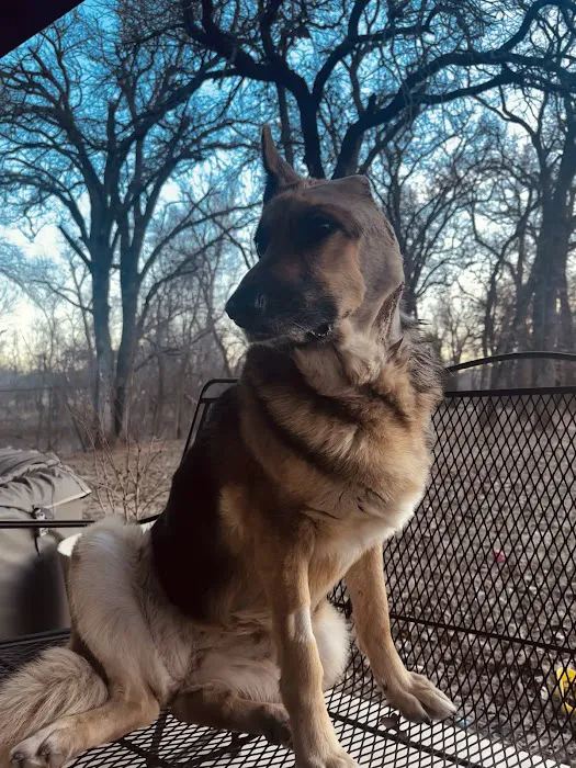 Halo Animal Hospital Picture 6