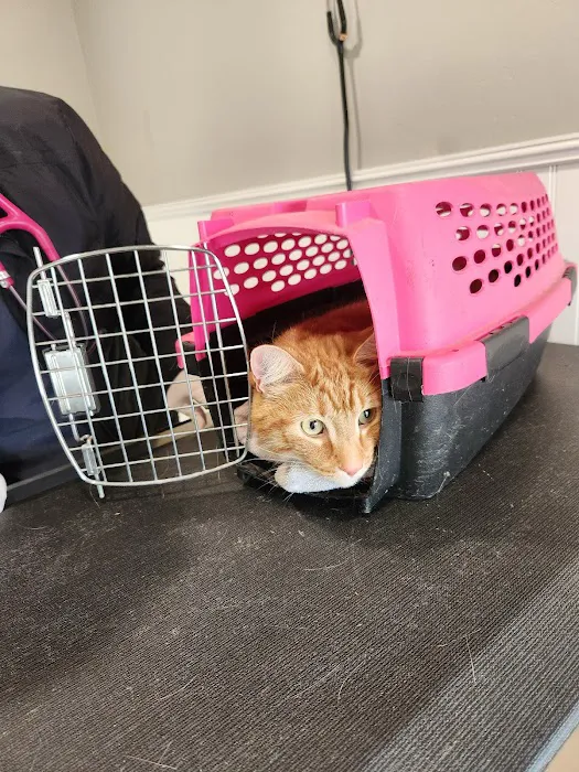 Halo Animal Hospital Picture 7