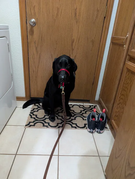 Halo Animal Hospital Picture 8