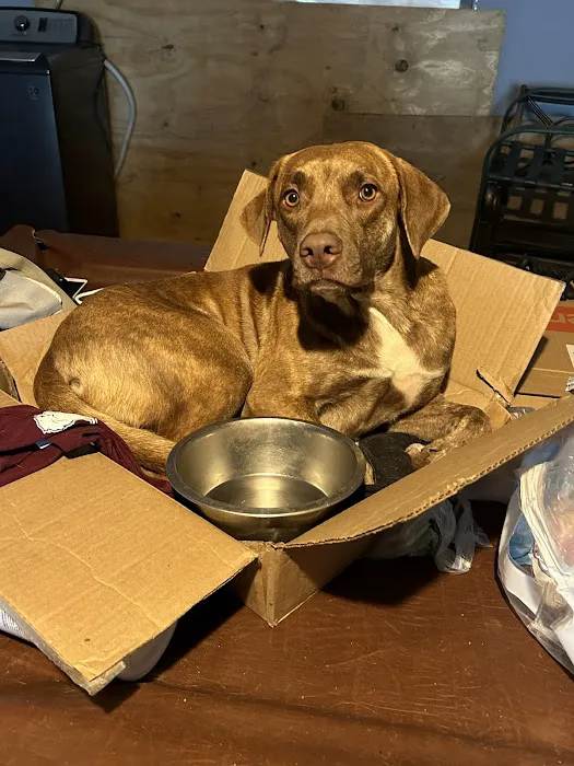 GetFixedOK Picture 1