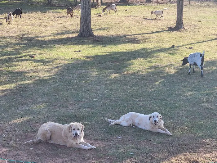 GetFixedOK Picture 4