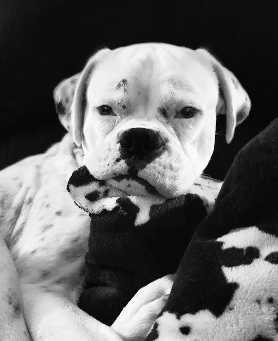 GetFixedOK Picture 3