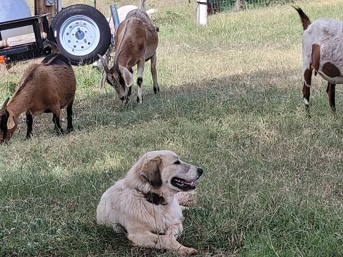 GetFixedOK Picture 7