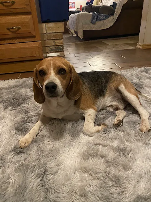 GetFixedOK Picture 5