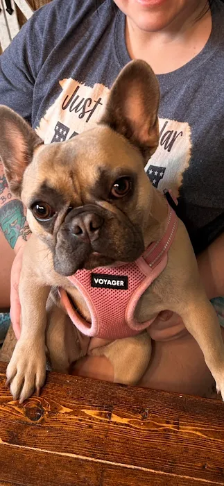 GetFixedOK Picture 8