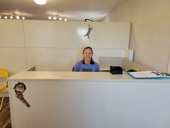 GetFixedOK Picture 10