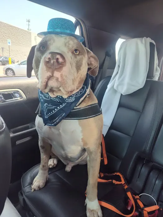 Blanchard Animal Hospital Picture 1