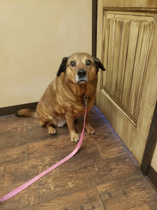 Blanchard Animal Hospital Picture 3