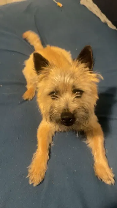 Blanchard Animal Hospital Picture 6