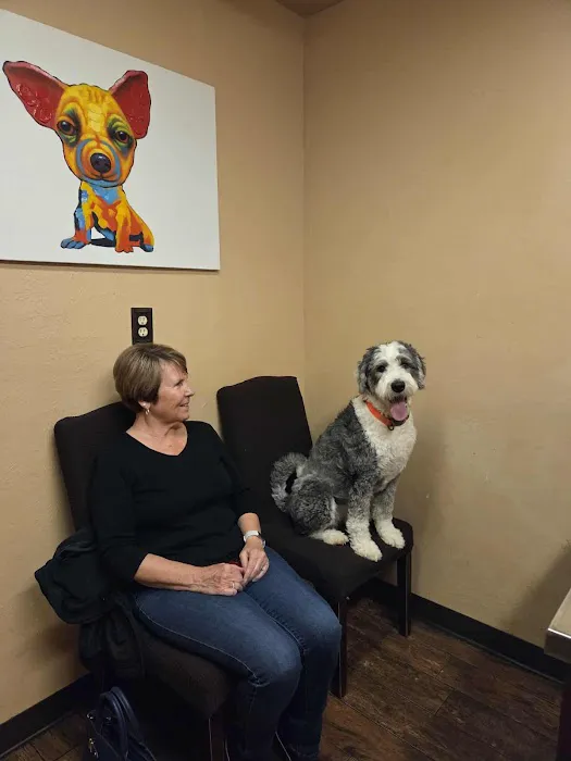 Blanchard Animal Hospital Picture 5