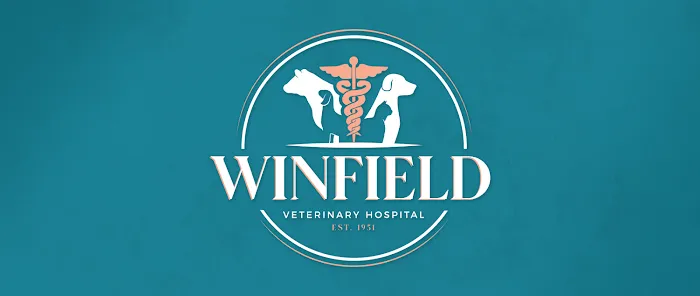 Winfield Veterinary Hospital Picture 4