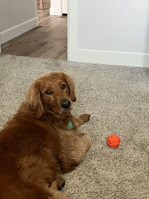 405 Vet Animal Hospital Picture 2