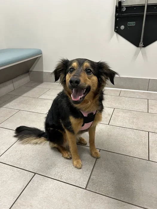 405 Vet Animal Hospital Picture 1