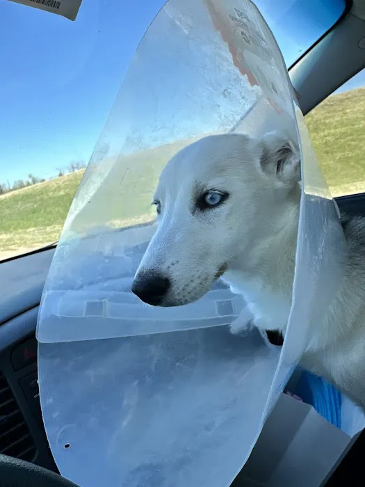 405 Vet Animal Hospital Picture 7