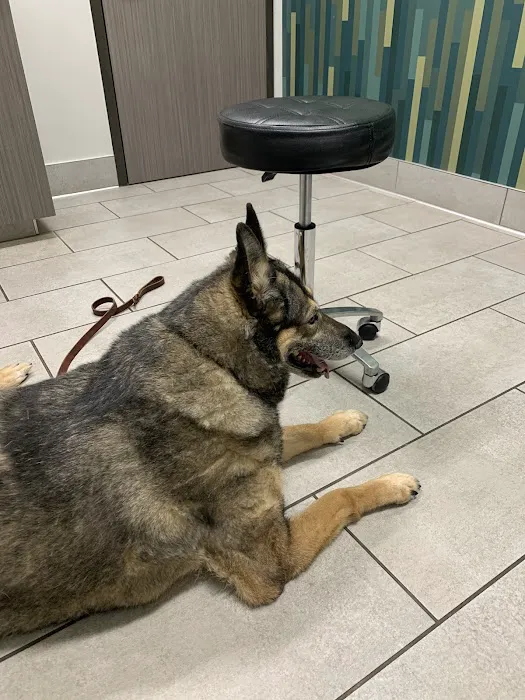 405 Vet Animal Hospital Picture 8