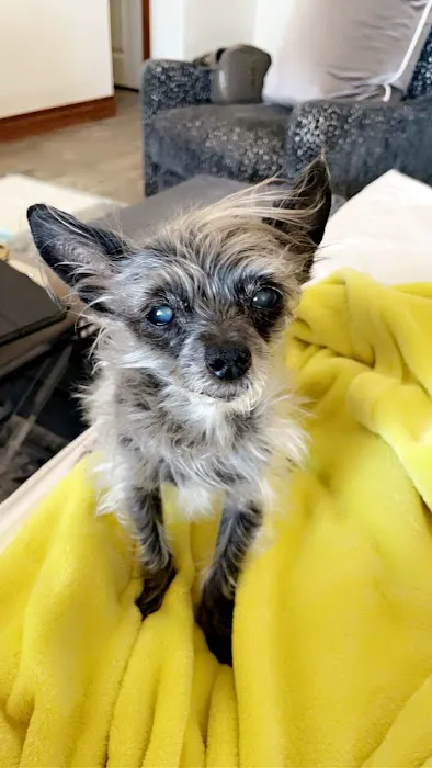 405 Vet Animal Hospital Picture 6