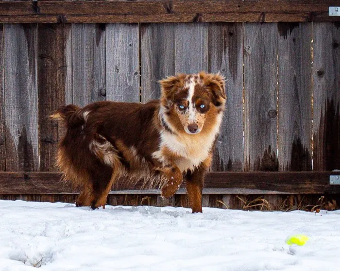 405 Vet Animal Hospital Picture 5