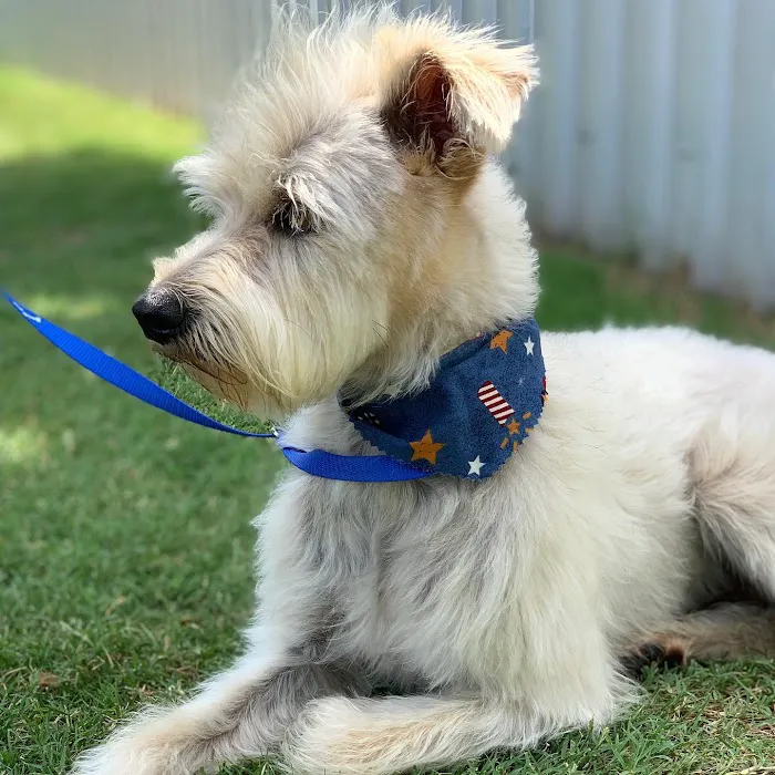 405 Vet Animal Hospital Picture 9