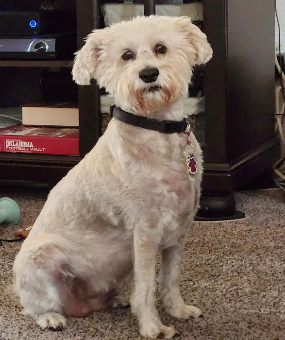 Putnam North Animal Hospital Picture 1