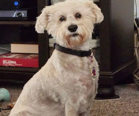 Putnam North Animal Hospital