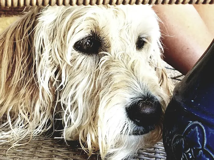 Putnam North Animal Hospital Picture 5