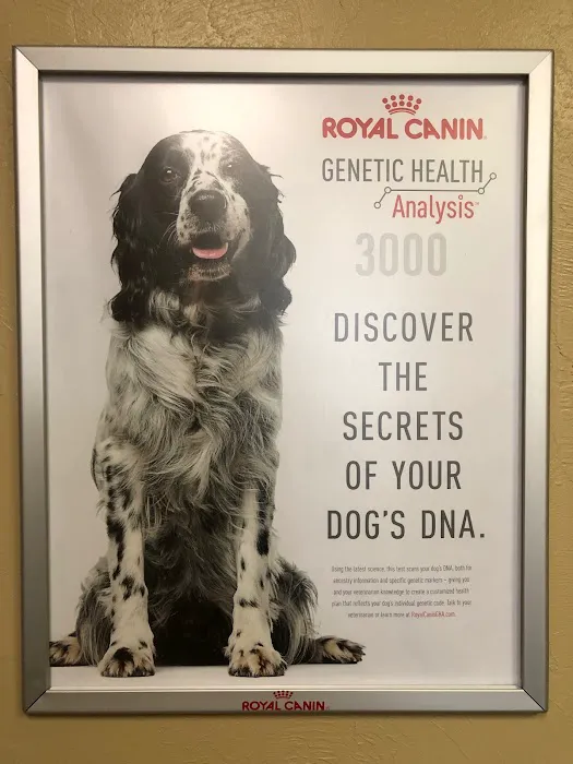 Putnam North Animal Hospital Picture 10