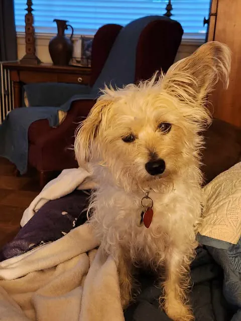 Hefner Road Animal Hospital Picture 1