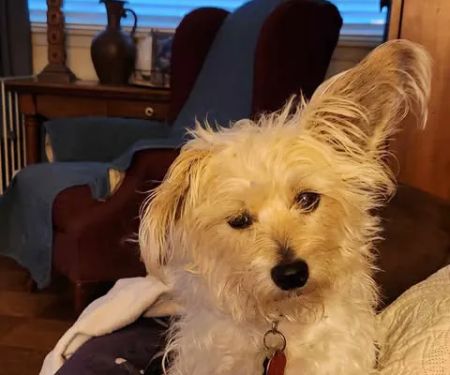 Hefner Road Animal Hospital