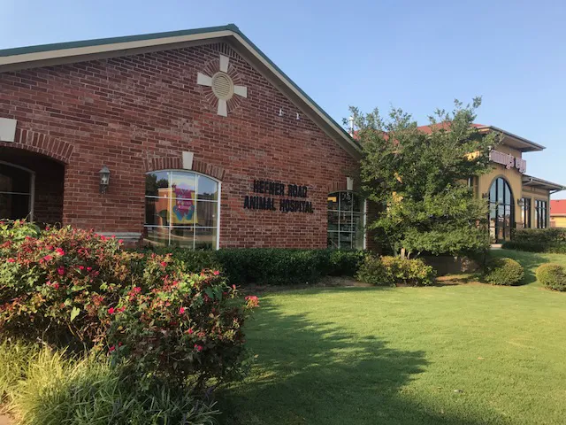 Hefner Road Animal Hospital Picture 5