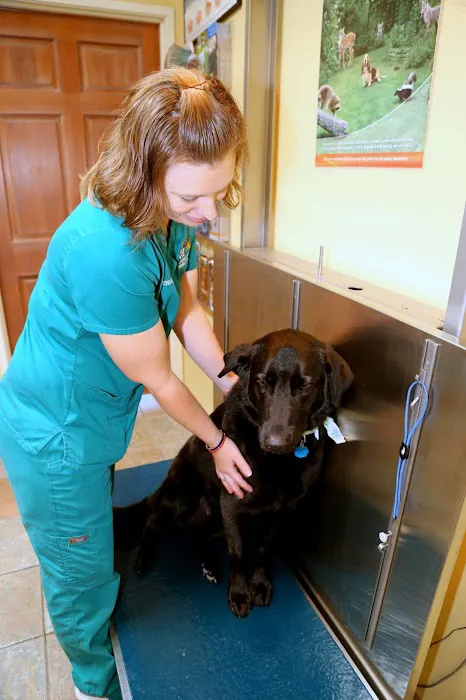 Hefner Road Animal Hospital Picture 9